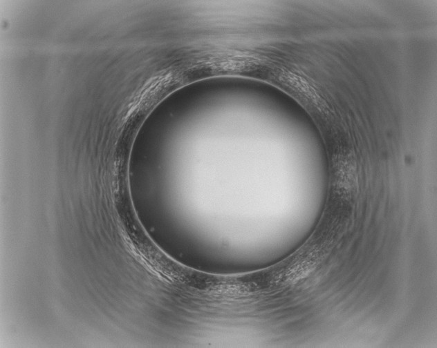 X0000060240738200510281118