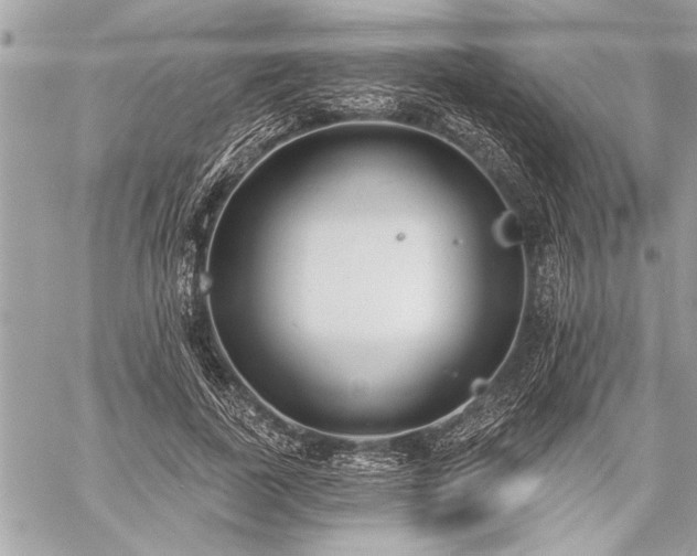 X0000060240739200510281118