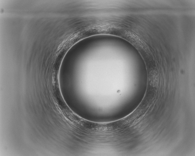 X0000060240740200510281118