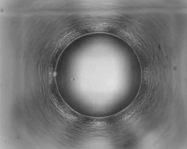 X0000060240741200510281118