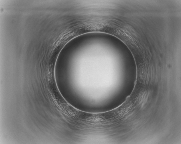 X0000060240743200510281118