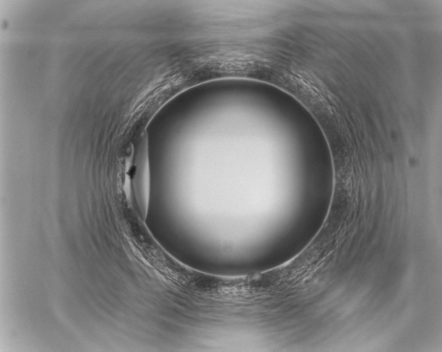 X0000060240744200510281118