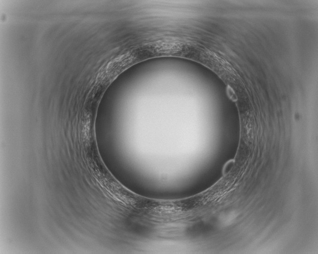 X0000060240745200510281118