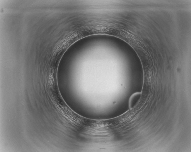 X0000060240746200510281118