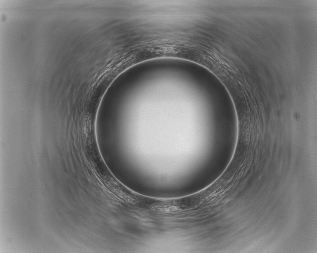 X0000060240747200510281118