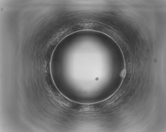 X0000060240750200510281119