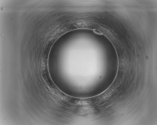 X0000060240751200510281119