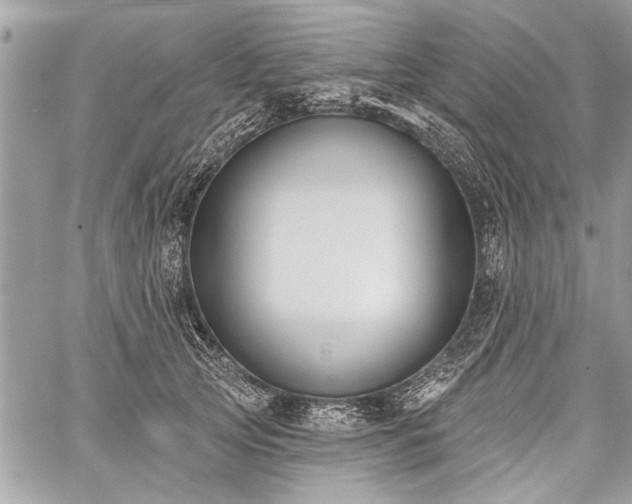 X0000060240753200510281119