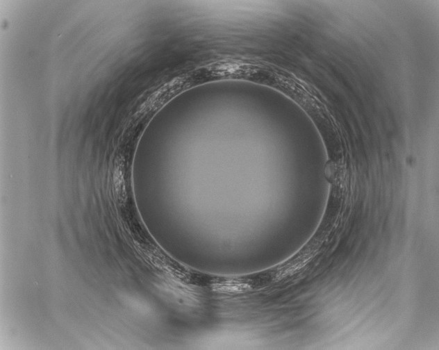 X0000060240754200510281119