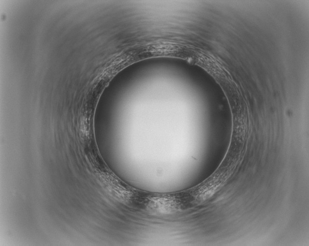 X0000060240755200510281119