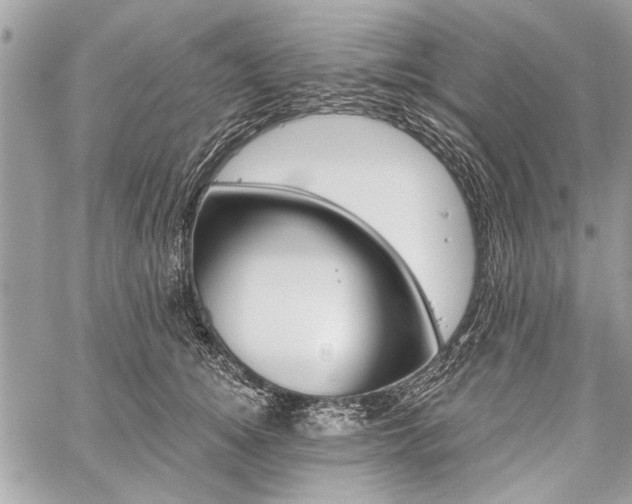 X0000060240756200510281119