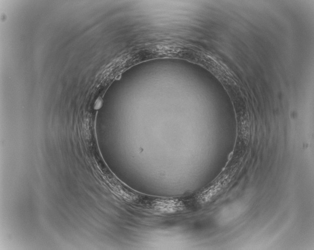 X0000060240757200510281119