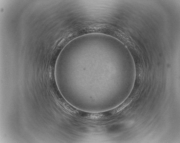 X0000060240758200510281119