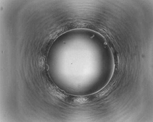 X0000060240759200510281119