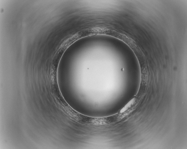 X0000060240762200510281119