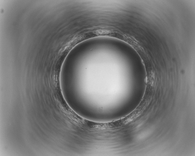 X0000060240763200510281119