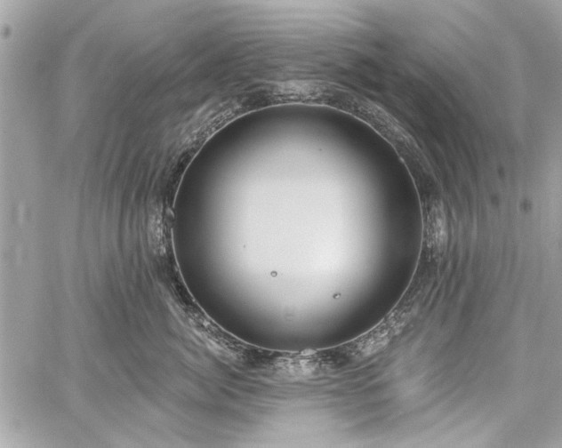 X0000060240764200510281119