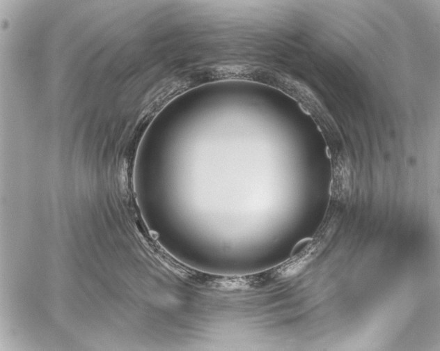 X0000060240765200510281119