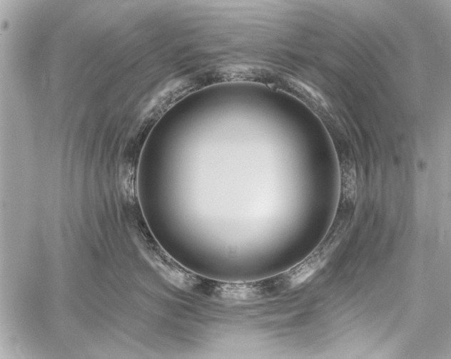 X0000060240766200510281119