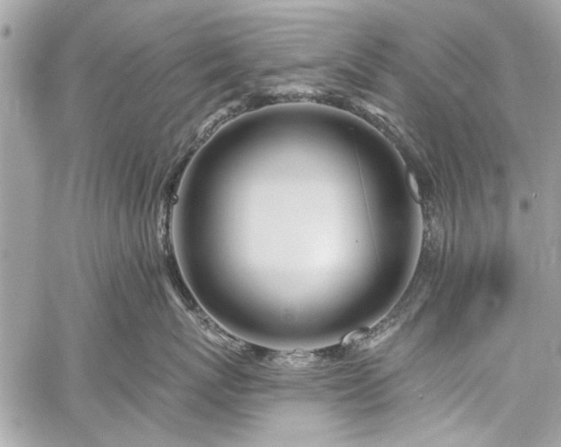 X0000060240767200510281119