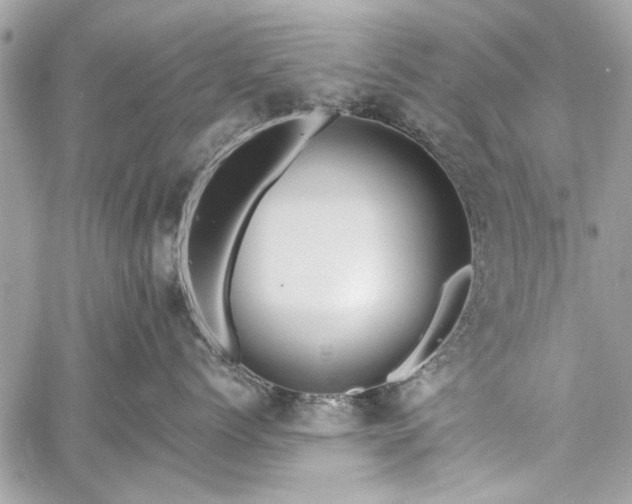 X0000060240768200510281119