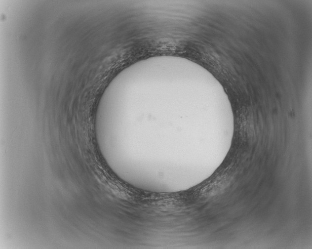 X0000060240769200510281118