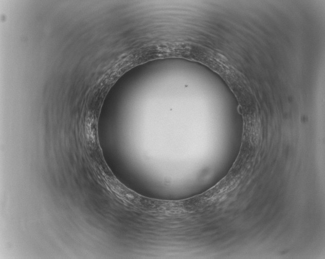 X0000060240770200510281118