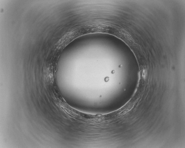 X0000060240771200510281118