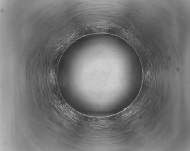 X0000060240772200510281118