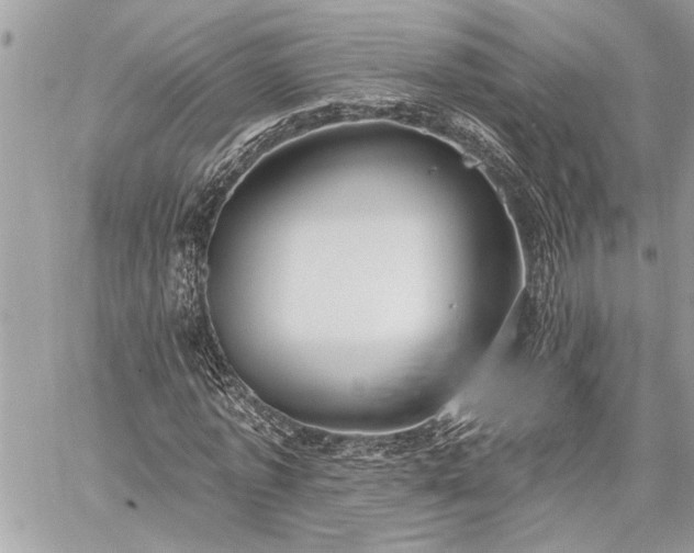 X0000060240773200510281118