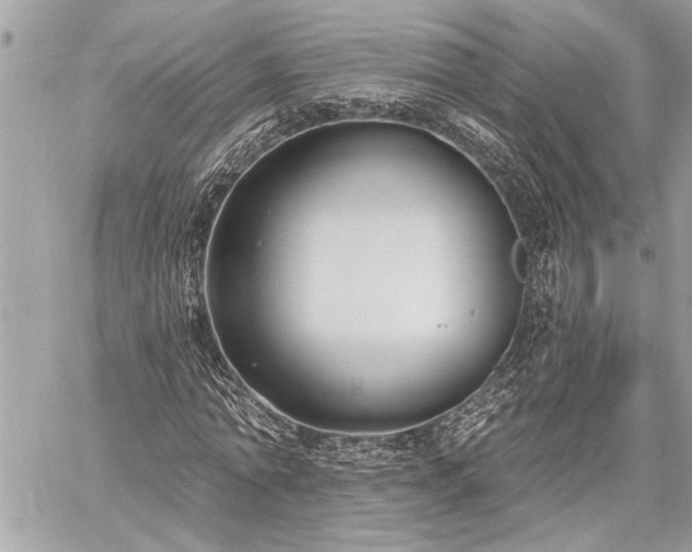 X0000060240774200510281118