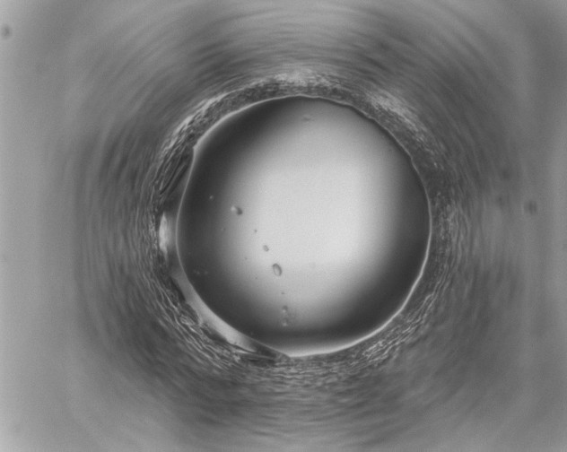 X0000060240776200510281118