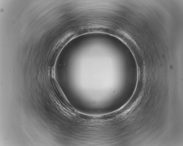 X0000060240777200510281118