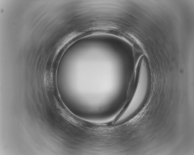 X0000060240779200510281118