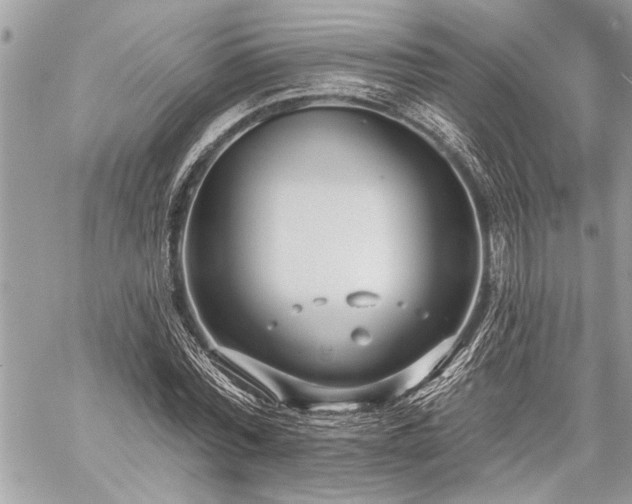 X0000060240780200510281118