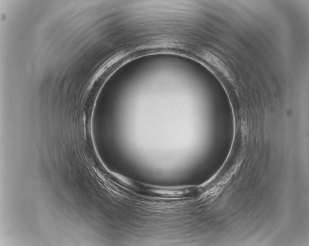 X0000060240781200510281118