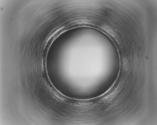 X0000060240782200510281118