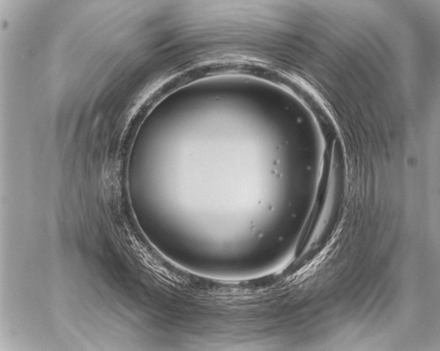 X0000060240783200510281118