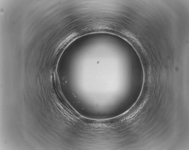 X0000060240785200510281118