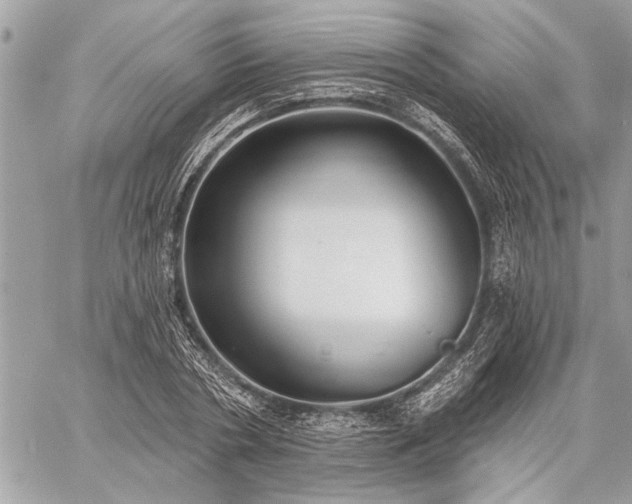 X0000060240786200510281118