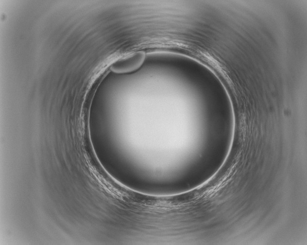 X0000060240787200510281118