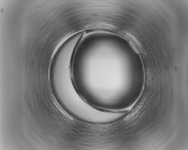 X0000060240788200510281118