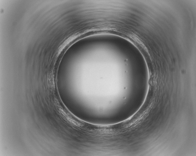 X0000060240789200510281118