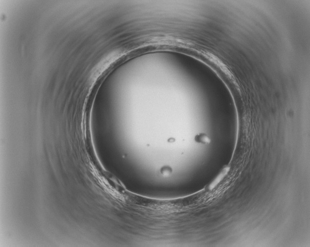 X0000060240791200510281118