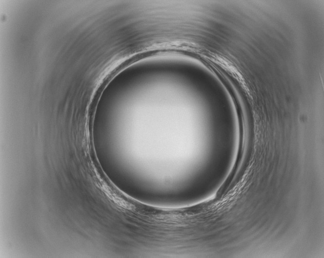 X0000060240792200510281118