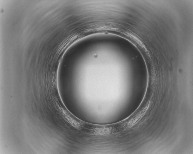 X0000060240793200510281118