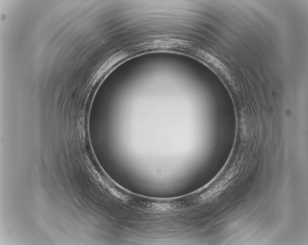 X0000060240794200510281118