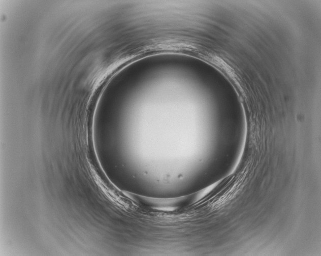 X0000060240795200510281118