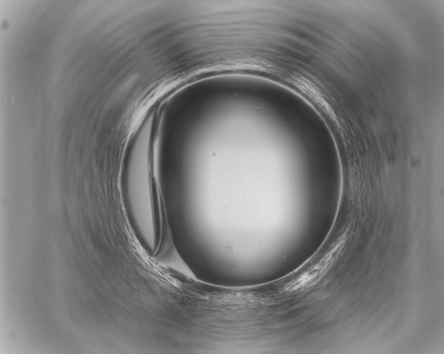 X0000060240797200510281118