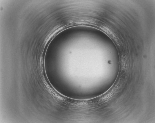 X0000060240798200510281118